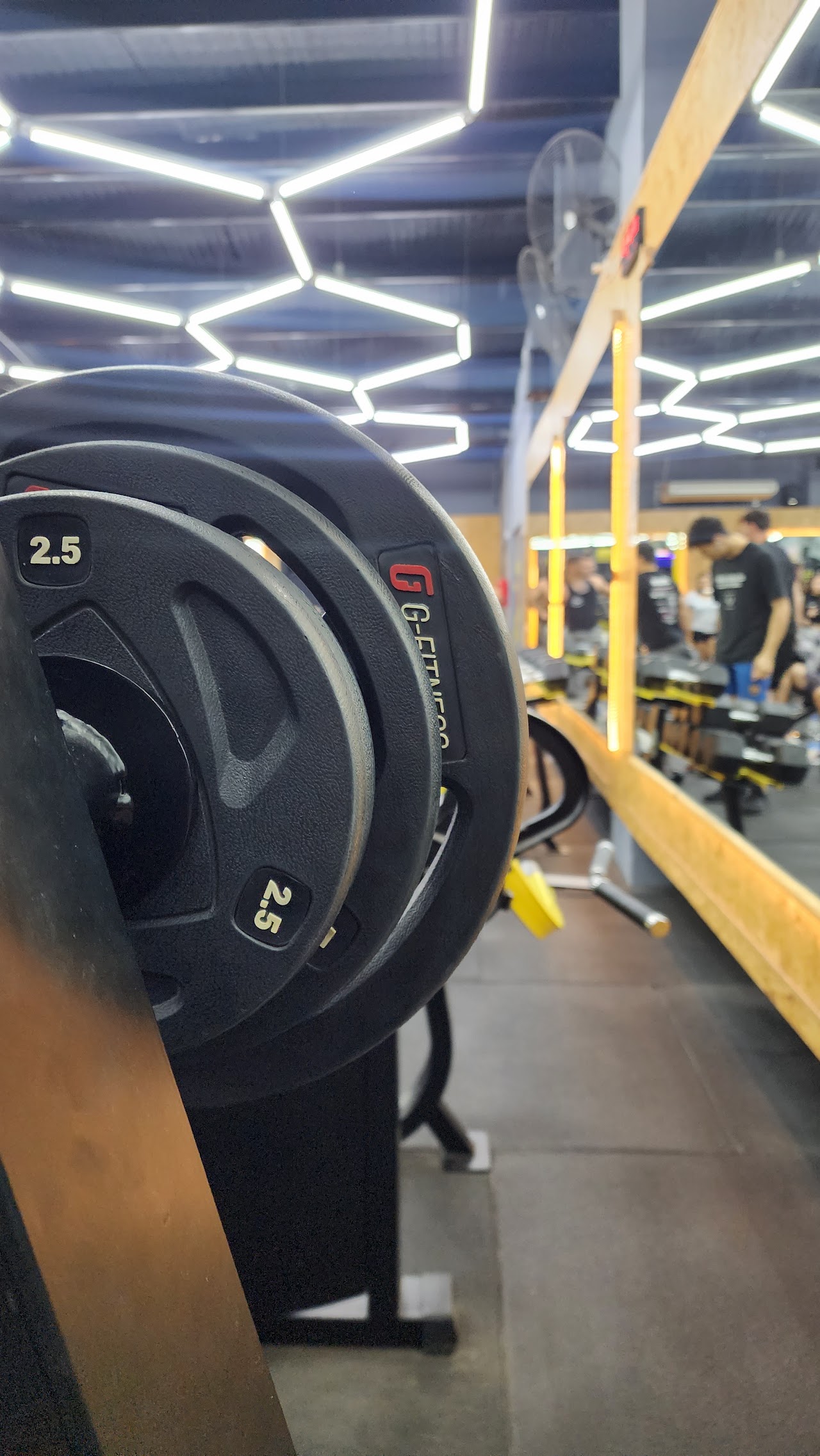 Piso de entrenamiento TERRA FITNESS